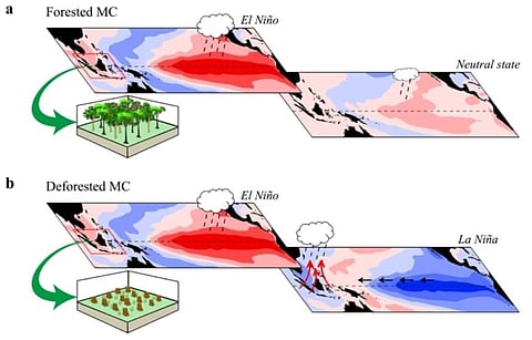 Weather Forecast : यंदाचा उन्हाळा राहणार कडक