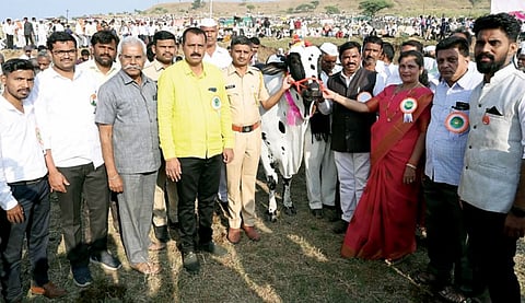 पिचड थांबले थोडे …आमदारांनी दामटले घोडे!