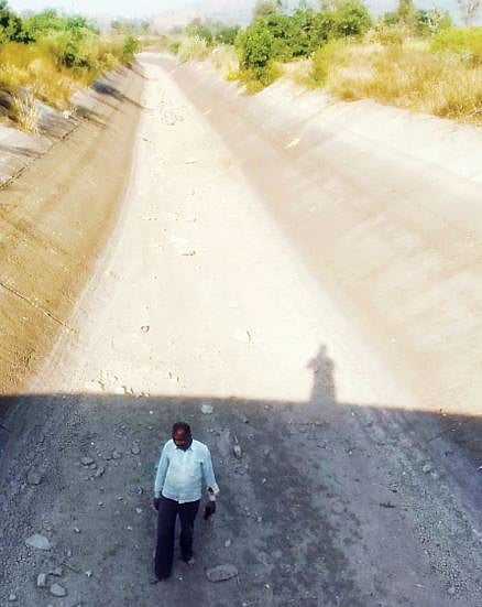 रब्बी पिके सुकू लागली ; प्रतीक्षा धोम-बलकवडी आवर्तनाची