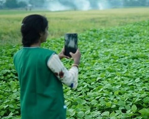 ई-पीक पाहणी अॅपचा 148 तालुक्यांत वापर..