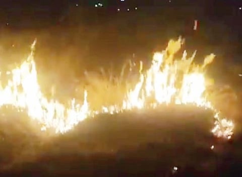 शिरदाळे घाटात वणवा ; उपसरपंचांच्या प्रसंगावधानाने टळला अनर्थ