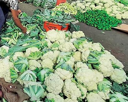 थंडीमुळे फ्लॉवर खातोय भाव ; टोमॅटो, काकडी, ढोबळी मिरची, घेवडा, शेवगा झाला स्वस्त