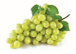 द्राक्ष उत्पादक शेतकर्यांची 25 लाखांची फसवणूक : व्यापार्यावर गुन्हा दाखल