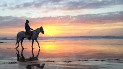 वेण्णालेकवरील घोड्यांच्या विष्ठेमुळे नागरीकांना आजार; ‘सीएसडी’चा निष्कर्ष