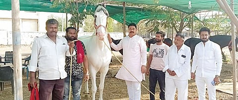 Pune : इंदापुरातील कृषी महोत्सवाची जय्यत तयारी ; बाजार समितीकडून आयोजन