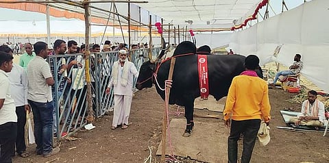 परराज्यातील शेतकर्यांना कृषिकचे आकर्षण..