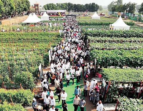 कृषिकला उच्चांकी गर्दी; आज प्रदर्शनाचा अखेरचा दिवस