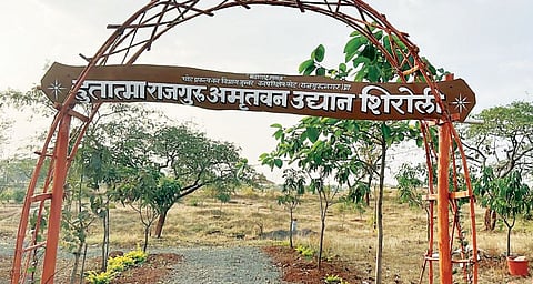राज्यातील पहिले अमृतवन उद्यान राजगुरुनगरला