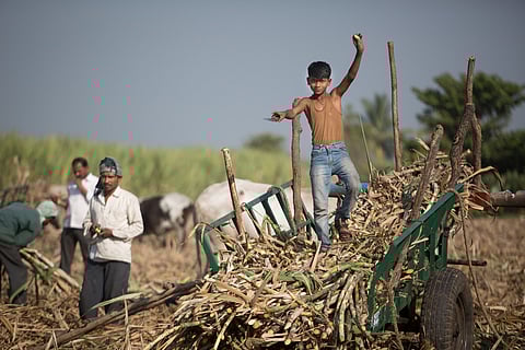 ऊसतोड कामगारांच्या मुलांसाठी 62 वसतिगृहे उभारणार