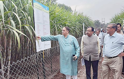 12 जानेवारीपासून साखर परिषद; नितीन गडकरी, शरद पवार राहणार उपस्थित