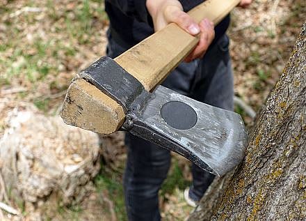 होर्डिंगसाठी झाडांची कत्तल; सात होर्डिंगचालकांचा परवाना पालिकेने केला रद्द