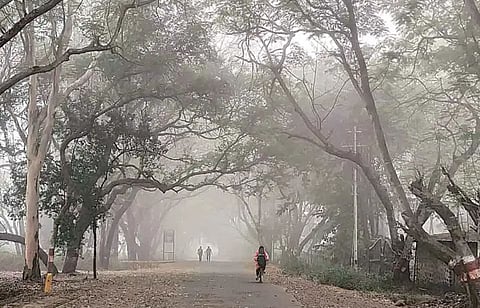 फेब्रुवारीची सुरुवात कडाक्याच्या थंडीने ; जळगाव 11.3, पुणे 13.7 अंशावर