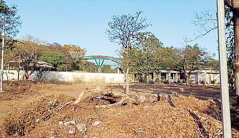 Pimpri : कोट्यवधीचा खर्च करूनही प्राणिसंग्रहालय भकास