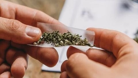 Jalgaon Crime : गांजा सेवन प्रकरणी तिघांवर कारवाई