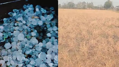 Chandrapur Heavy Rain