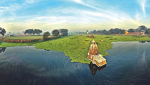 Nashik : …तर जलपर्णी ठरणार वरदान