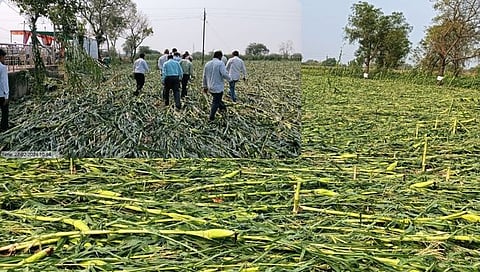Jalgaon hailstorm : जळगाव जिल्ह्याला अवकाळी पाऊस व गारपिटीचा तडाखा, पिकांचे नुकसान