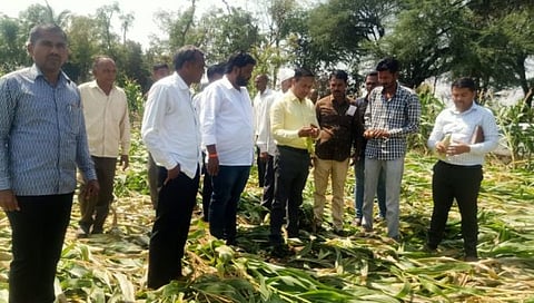 Nashik Unseasonal Rain : नांदगाव तालुक्यात अवकाळीचा फटका, तहसीलदारांकडून पाहणी