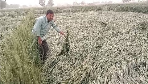 Nashik | आभाळ फाटलं, सलग तिसऱ्या दिवशी मनमाडला अवकाळीचा तडाखा, शेतकरी उद्ध्वस्त