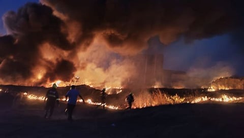 Nashik News : माळेगाव एमआयडीसीत पडीक जागेत वनवा पेटला, आजुबाजुच्या कंपन्यांना धोका