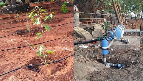 Shiv Jayanti 2024 : ‘शिवाई देवराई’ चे मुख्यमंत्री शिंदे यांच्या हस्ते होणार लोकार्पण