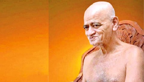 उत्तुंग व्यक्तिमत्त्व : आचार्य विद्यासागर महाराज