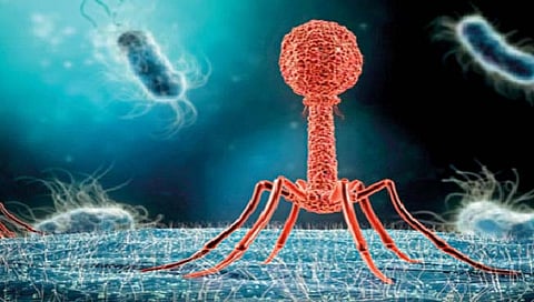 बहार विशेष : दडलेल्या विषाणूंचे महासंकट