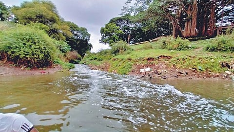 कृष्णा प्रदूषण : सांगली मिरज कुपवाड शहर महापालिकेस 90 कोटींचा दंड