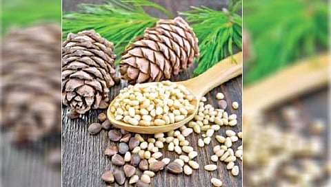 सर्वात महागडा; पण आरोग्यदायी सुका मेवा