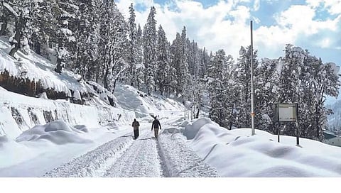 हिमवर्षावामुळे हिमाचलमधील ३५० हून अधिक रस्ते बंद