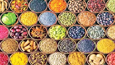 भारतीय मसाल्यांची बातच न्यारी; का आहेत इथले मसाले जगप्रसिद्ध?