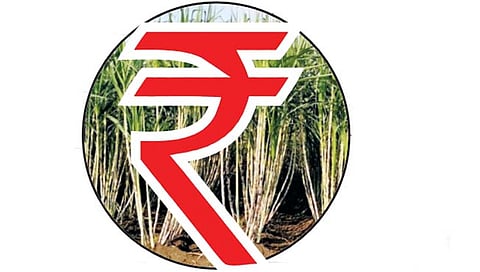 Farmer News : ऊस उत्पादकांना मिळणार 600 कोटी जादा