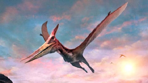 स्कॉटलंडमध्ये सापडले उडणार्या डायनासोरचे जीवाश्म