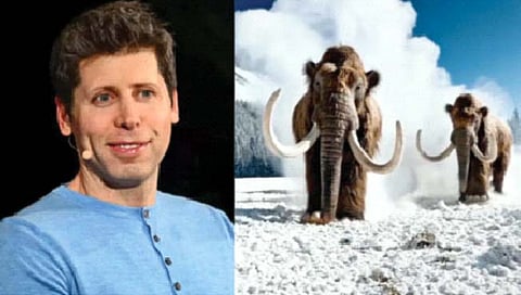 शब्दांपासून व्हिडीओ बनवणारे ‘एआय सोरा’ टूल लाँच