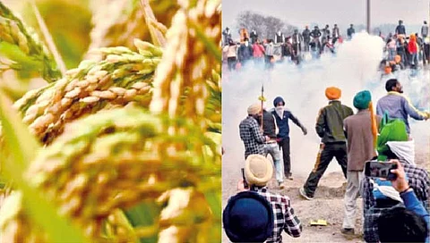 कृषी : पुन्हा बळीराजाचा एल्गार