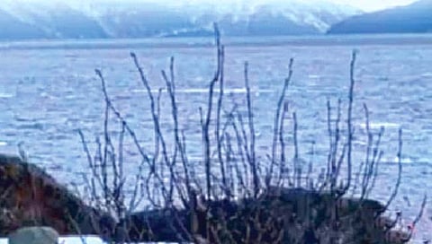 माणूस चालताना थांबते नदी, थांबला की वाहते?