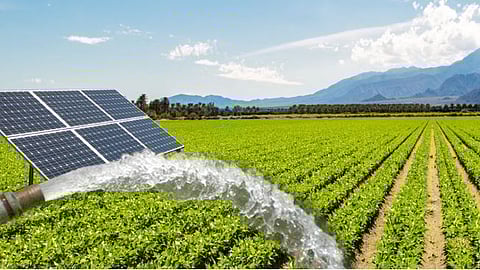 प्रातिनिधिक छायाचित्र.