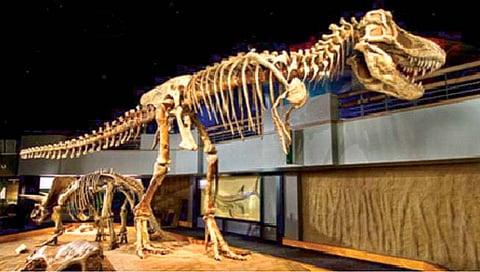 ‘या’ ठिकाणाला म्हणतात ‘डायनासोरची राजधानी’