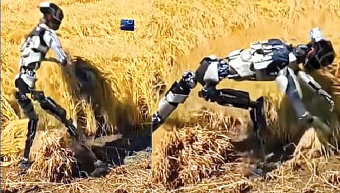 Robot : आता शेतातही कष्ट घेणार रोबो!