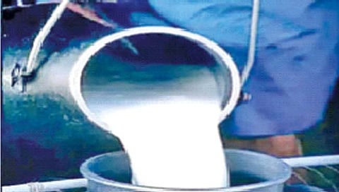 दुग्ध क्रांती नव्या वळणावर