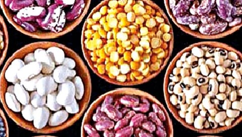 डाळींचे महत्त्व ओळखा