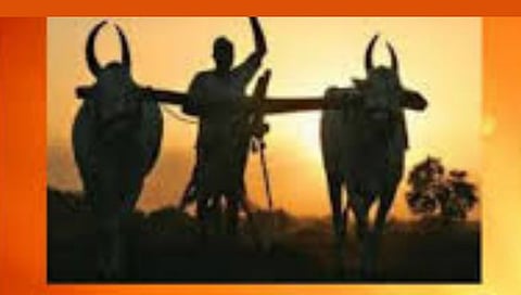 Farmers Protest : जगभरात सत्ताधाऱ्यांविरोधात शेतकऱ्यांचा विद्रोह; बळीराजा वैतागला