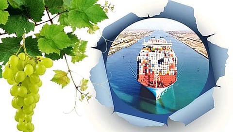 पुढारी विशेष : द्राक्ष निर्यातीला लागतोय दुप्पट वेळ; तिप्पट भाडे