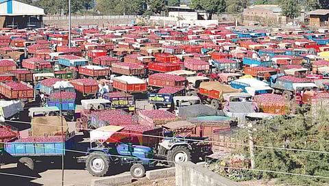 Onion Export News | कांदा निर्यातबंदी अंशत: हटविली; कांदा व्यापाऱ्यांमध्ये संभ्रमावस्था