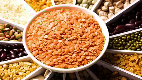 डाळ महागल्याने सरकारला चिंता, साठेबाजी रोखण्याचे आदेश