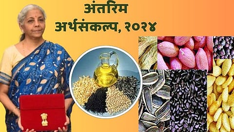 Union Budget 2024 For Oilseeds