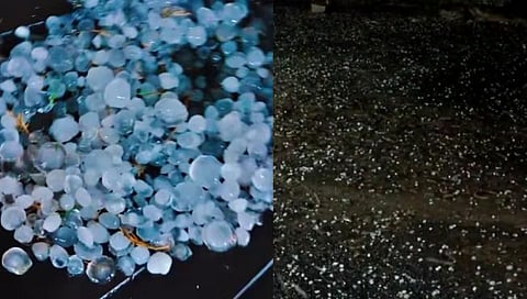 चंद्रपूर : वरोरा, भद्रावती तालुक्यात अवकाळी पावसासह गारपीट