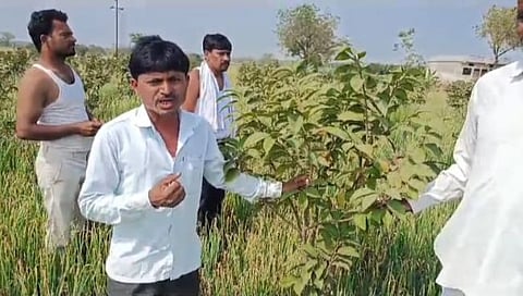 परभणी : पूर्णा तालुक्यात ‘रोहयो’ कामाचे ६ कोटींचे अनुदान थकीत