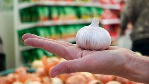 Garlic Price : लसूण का बसलाय रुसून? दर वाढण्याची ‘ही’ आहेत कारणे