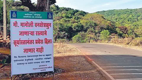 Kolhapur Amba-Vishalgad Road : आंबा ते विशाळगड सूर्यास्तानंतर वाहतूक बंद